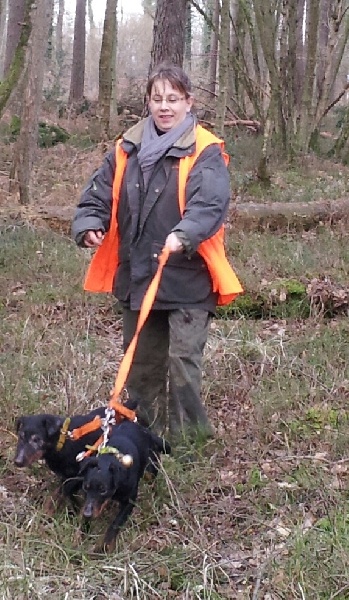 chasse 2014